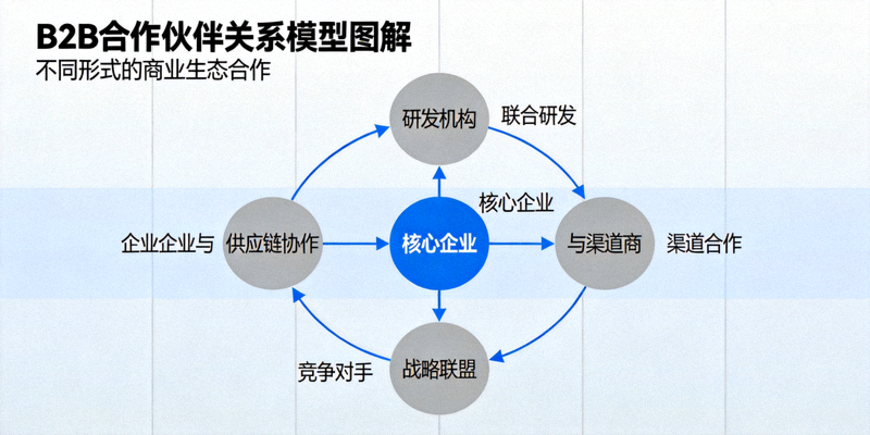 B2B合作伙伴关系模型图解 - 展示不同形式的商业生态合作