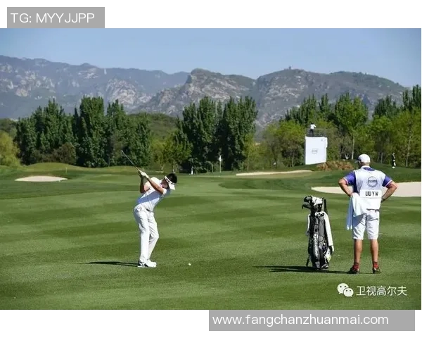 欧塞尔对阵沙特鲁精彩直播全程回顾与赛后分析