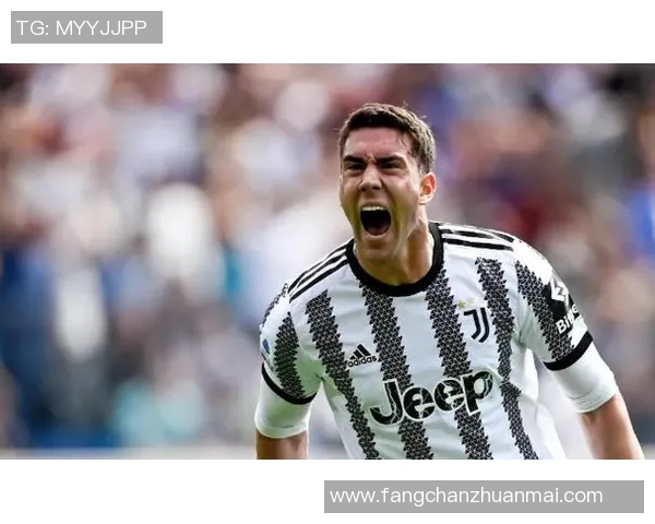 弗拉霍维奇的崛起与未来展望：如何成为足球界的新星