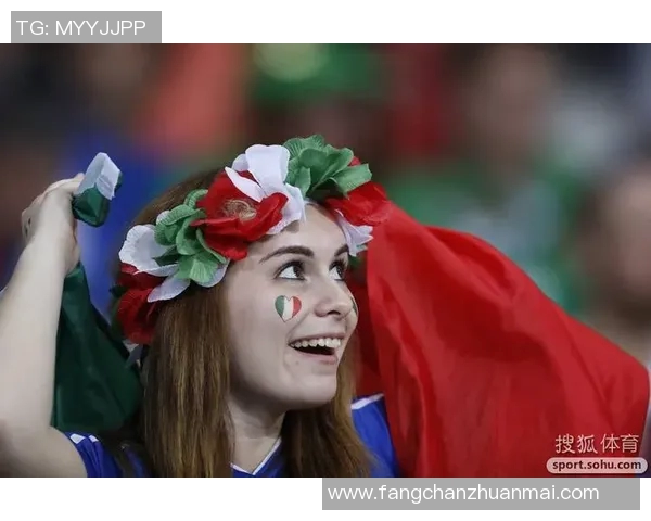 法国与爱尔兰友谊赛精彩回顾与战术分析，球迷热情高涨